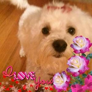 Meet your Posher, Carol